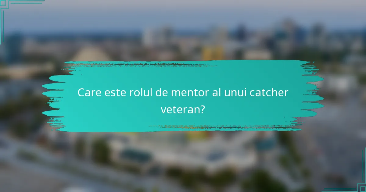 Care este rolul de mentor al unui catcher veteran?