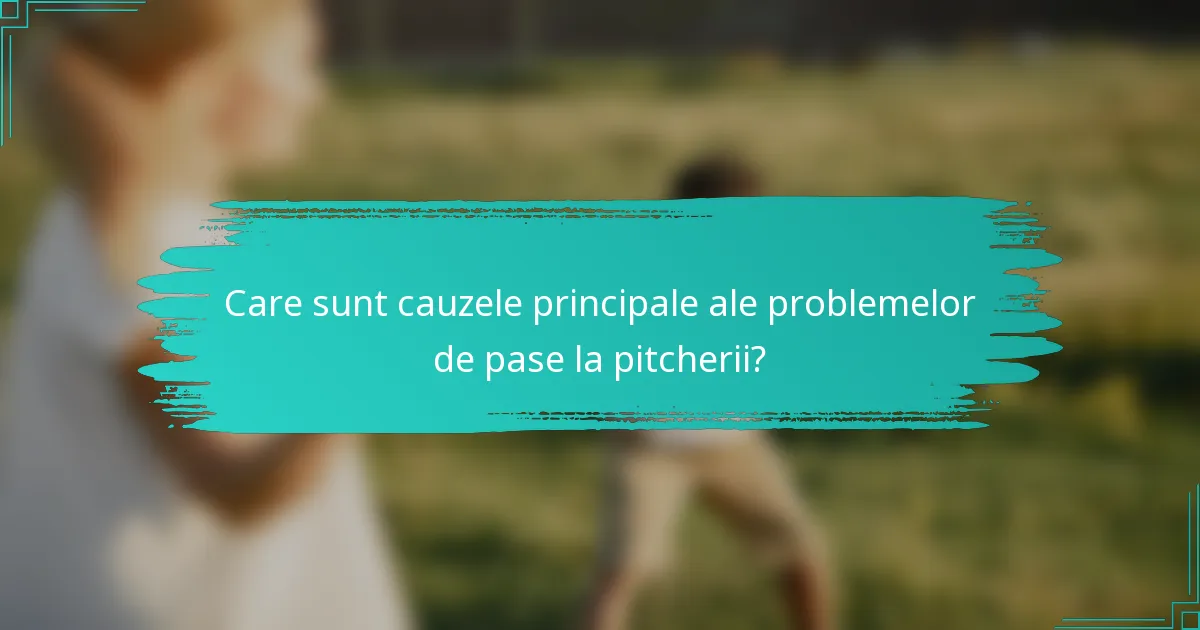 Care sunt cauzele principale ale problemelor de pase la pitcherii?